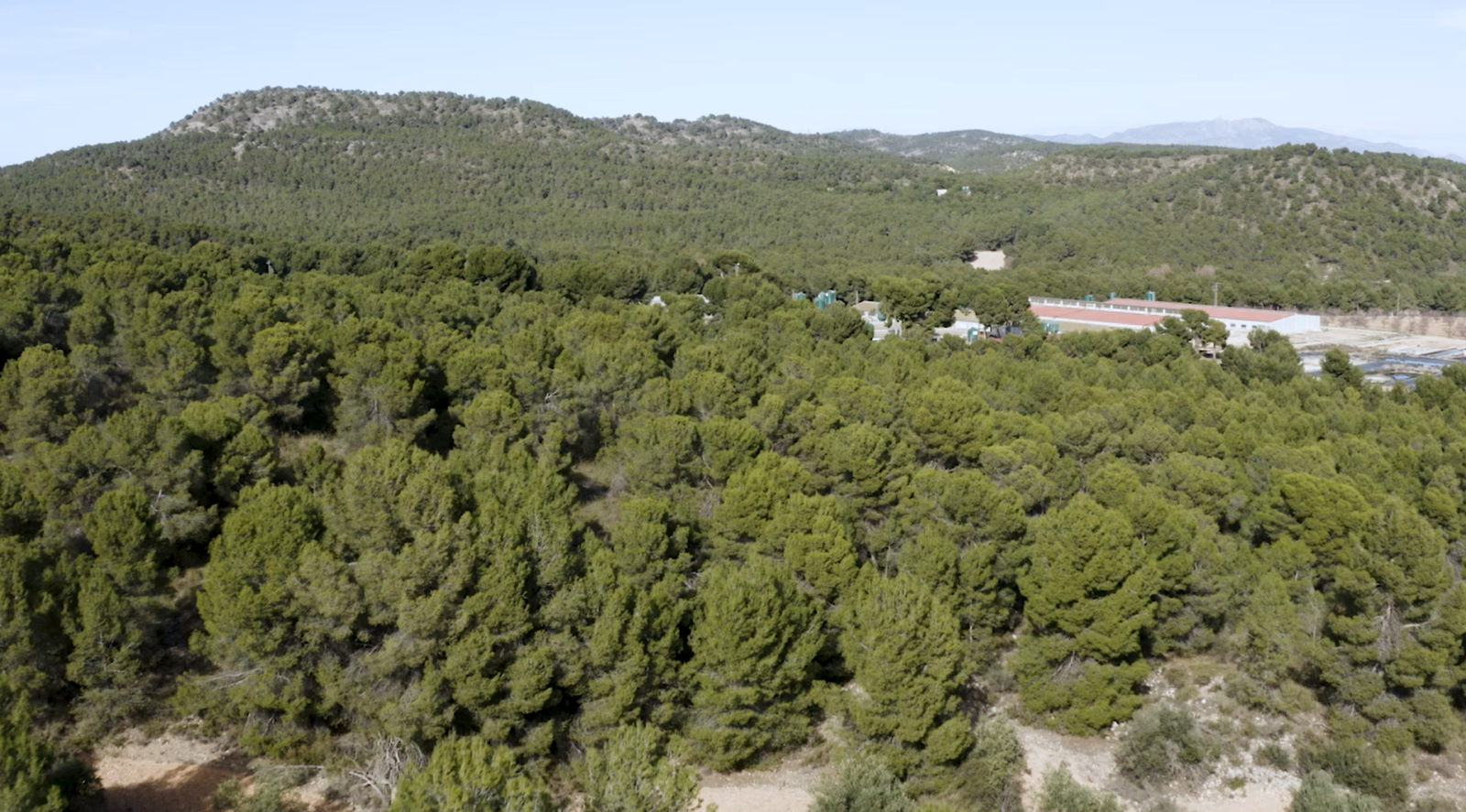 Cefusa impulsa el ahorro de agua mediante la digitalización y monitorización continua de su consumo en las granjas